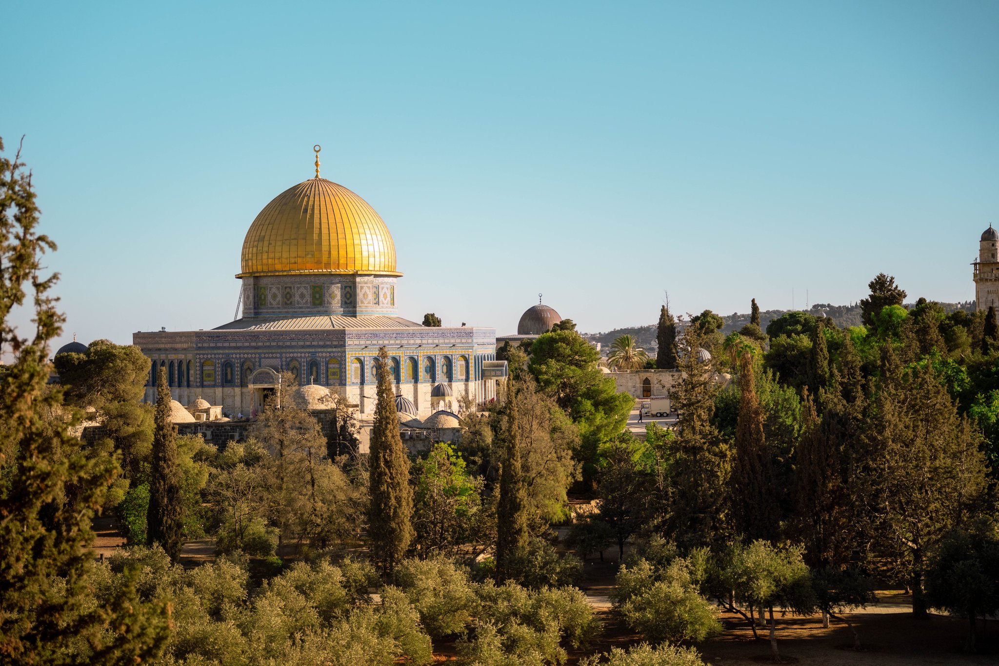 Leadership Institute in Israel Network