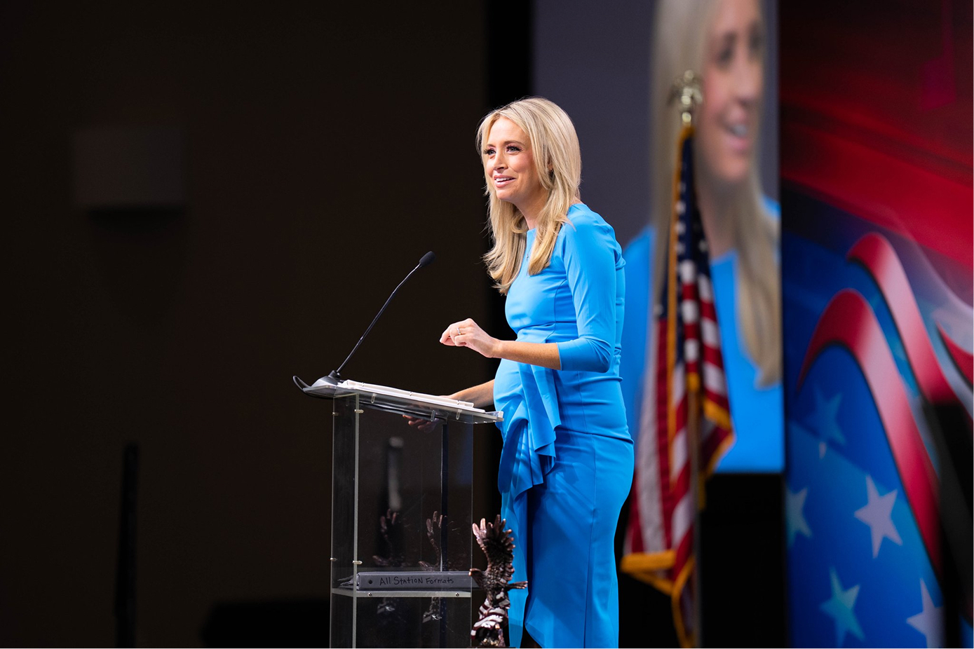 Minnesota Persuasive Communications and Campaign Activism